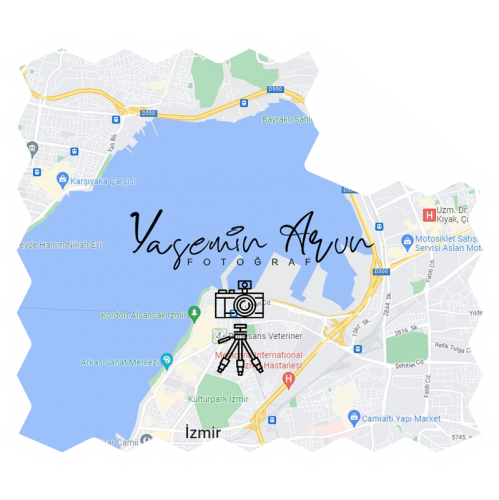 maps-w